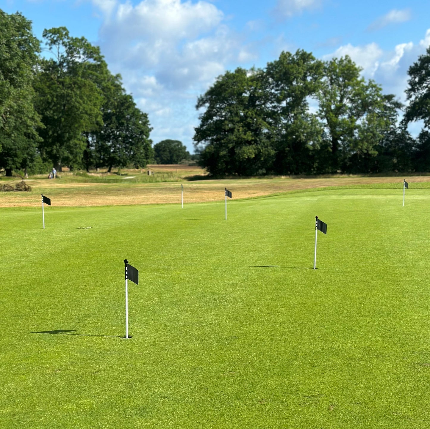 Loose top for putting green flag, design flag